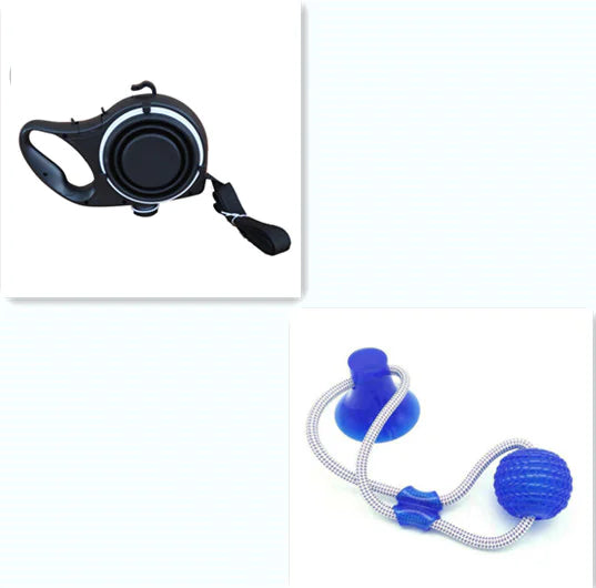 Travel Dog Leash Kit with Bottle