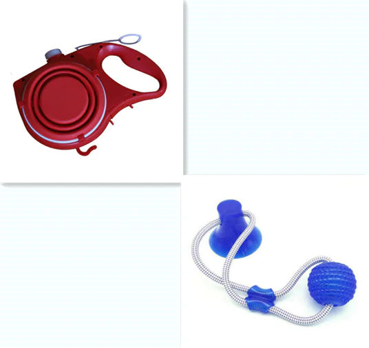 Travel Dog Leash Kit with Bottle